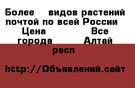 Более200 видов растений почтой по всей России › Цена ­ 100-500 - Все города  »    . Алтай респ.